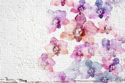 Fotobehang Muur met geschilderde orchidee?n