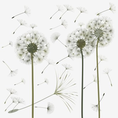 Fotobehang Paardenbloemen in retrostijl