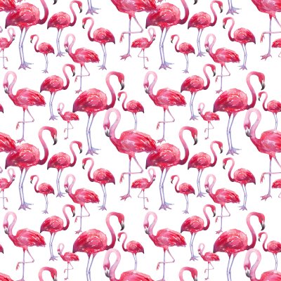 Fotobehang Roze vogels op een witte achtergrond