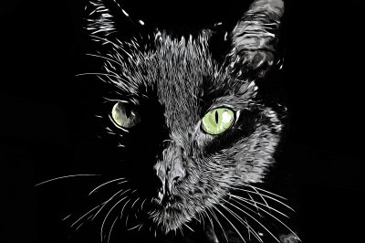 Sticker Portret van een kat met glanzende vacht