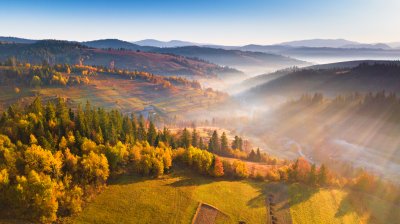 Fotobehang Veld en groene bossen