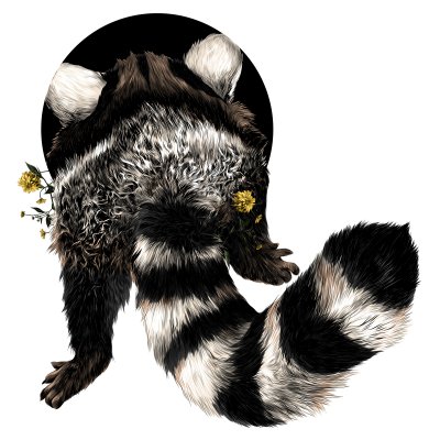 Sticker Wasbeer schets vectorafbeeldingen terug kleurenfoto