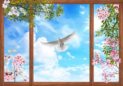 Fotobehang Een blik door het raam op een witte duif tegen de wolken