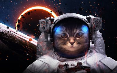 Fotobehang Astronaut kat