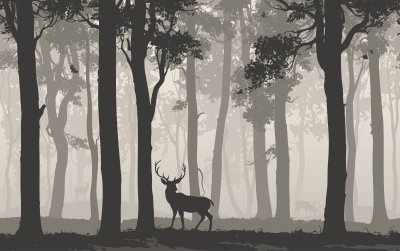 Sticker Horizontal seamless background with deciduous forest, birds and deer. Vector illustration
