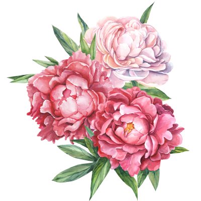 Sticker Grote bloemen met drie knoppen