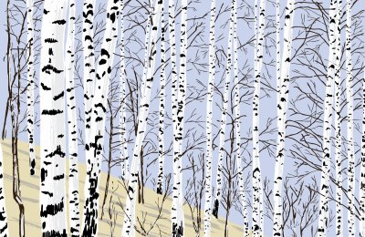 Sticker Birch grove in the spring