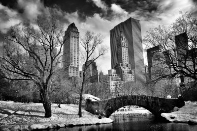 Fotobehang Gapstow Bridge in Central Park in de winter