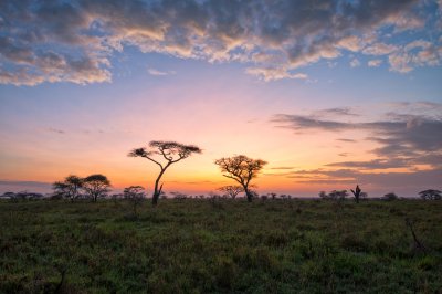 Fotobehang Fantasy African lanscape of the beautiful sunrise in savannah