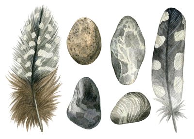 Sticker Waterverfhand getrokken reeks grijze vogelveren en kiezelstenen. Kleurrijke die bohoinzameling op witte achtergrond wordt geïsoleerd