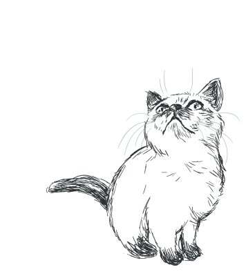 Sticker Kattenschets van een kat die omhoog kijkt