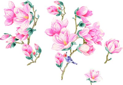 Sticker Zalmmagnolia's met een vogel