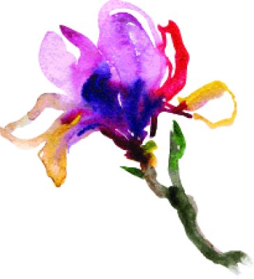 Sticker Veelkleurige magnolia beschilderd met verf