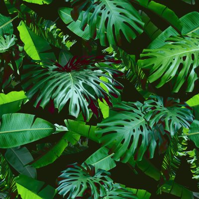 Fotobehang 3D natuur