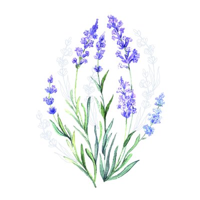 Sticker Waterverf met lavendel