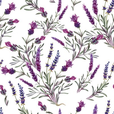 Sticker Patroon met lavendel op een witte achtergrond
