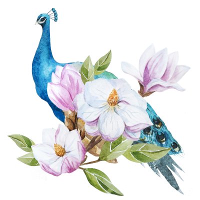 Sticker Magnoliatak en pauw