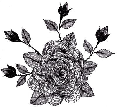 Sticker Tekenen met een roos en knoppen