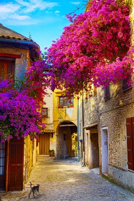 Poster Oude straatjes in de pittoreske Provence