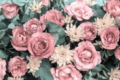 Fotobehang Roze rozen in vintage stijl