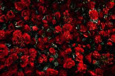 Fotobehang Boeket van rode rozen