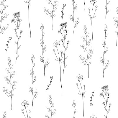 Behang Naadloos bloemen decoratief patroon met zwart-witte kruiden. Eindeloze textuur voor uw ontwerp. Witte achtergrond.
