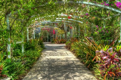 Fotobehang Kleurrijke natuur in een botanisch park