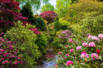 Fotobehang Planten en bloemen in de botanische tuin