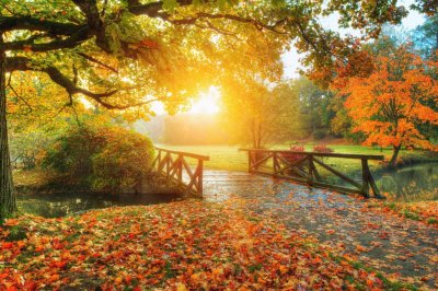 Fotobehang Herfstlandschap zonsopgang in het park