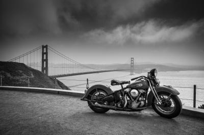 Fotobehang Hog over de baai