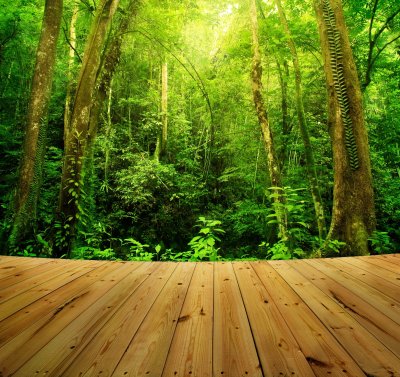 Fotobehang Terras en tropen