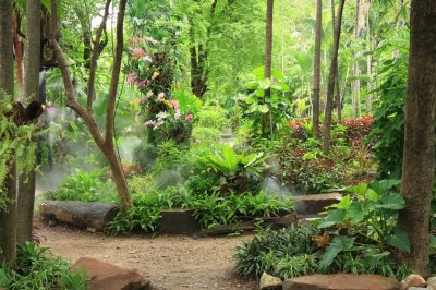 Fotobehang Tropen en bloemen