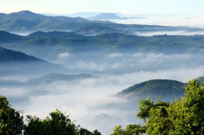 Fotobehang Tropen in de mist