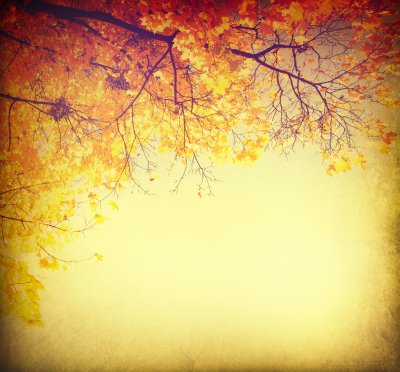 Fotobehang Herfstlandschap in retro kleuren