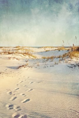 Fotobehang Sporen op zandduinen