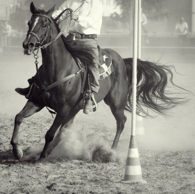 Fotobehang Hengst met ruiter bij rodeo