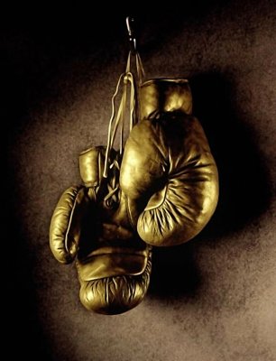 Fotobehang Bokshandschoen aan een haak