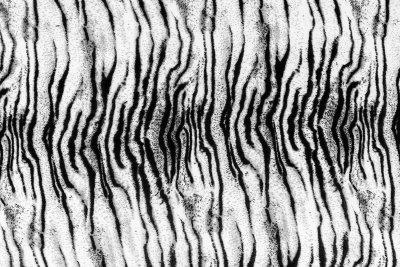 Fotobehang Textuur van tijgerpels