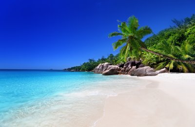 Fotobehang Tropische regen met blauwe lucht