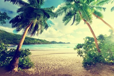 Fotobehang Vintage tropen met strand