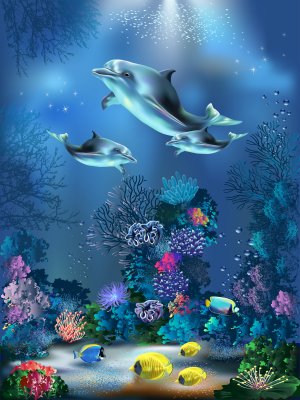 Fotobehang Koralen en drie dolfijnen