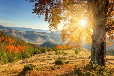 Fotobehang Ochtendherfstlandschap in de bergen