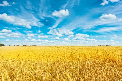 Fotobehang Lucht boven een zonnig veld