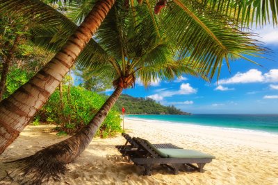 Fotobehang Tropen aan de zonnige kust