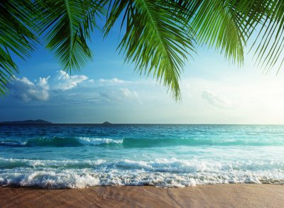 Fotobehang Tropen en golven op zee