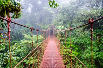 Fotobehang De groene tropen in Costa Rica