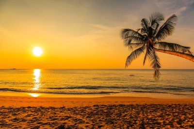 Fotobehang Strand palmbomen en de ondergaande zon