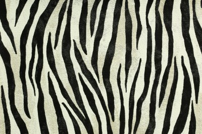 Fotobehang Textuur van tijgerprint
