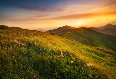 Fotobehang Zonsondergang boven een open plek met paardenbloemen