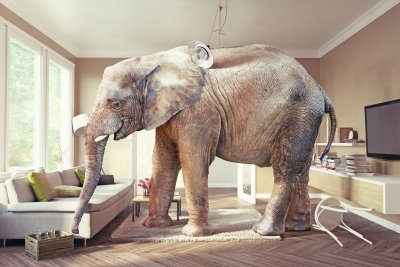 Fotobehang 3D olifant in de kamer